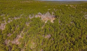 386 NE A, Antlers, OK 74523