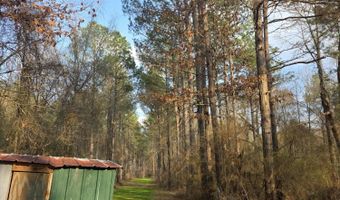 U.S. Highway 51, Bogue Chitto, MS 39629