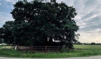 Lot 6 COUNTY ROAD 1560, Alba, TX 75410