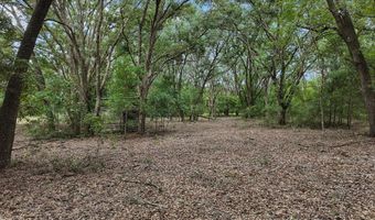 3670 25th Cir, Bell, FL 32619