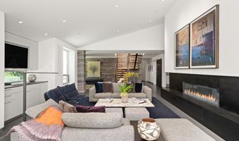 1180 Black Birch Dr, Aspen, CO 81611