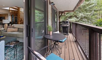 650 S Monarch St Unit 11, Aspen, CO 81611