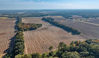 3431 Gladys Ct, Albany, GA 31705