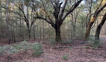 Lower Bay Road, Bay St. Louis, MS 39520