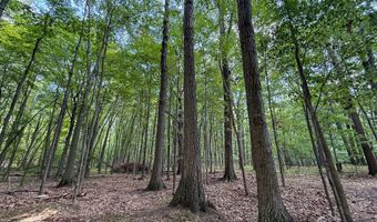 39 Acres N Pingree Rd, Alma, MI 48801