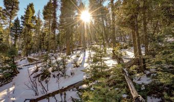 45 And 46 Sacramento Dr, Angel Fire, NM 87710