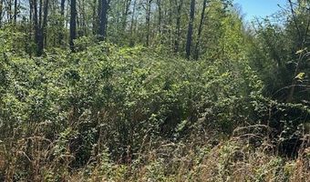 Lot 43 Wilson Ridge road, Wilder, TN 38589