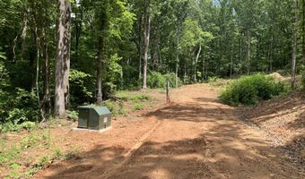 230 Harmony Vly, Alto, GA 30510