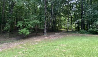 60162 N Harmony Rd, Amory, MS 38821