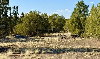 37 Co Rd N8174 10.1 Acres, Concho, AZ 85924