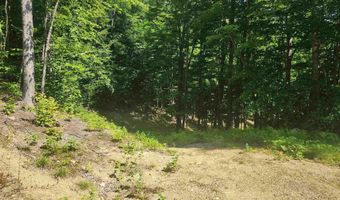 00 Jericho Rd, Bartlett, NH 03812
