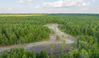 Mann Road, Arabi, GA 31712