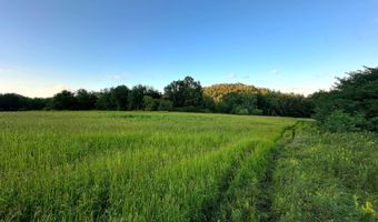 TBD Bear Pen Rd, Arkansaw, WI 54721