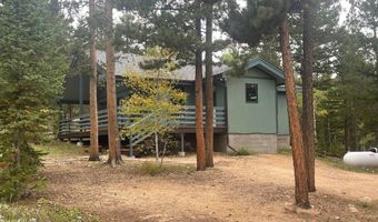 33 N Skinner Rd, Allenspark, CO 80510