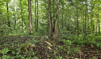 21 Rice Farm Ln, Brownington, VT 05860