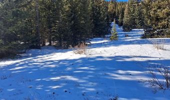 3553 RIVER Dr, Alma, CO 80420