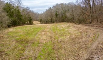 Willis Creek Rd, Albany, KY 42602