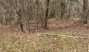 Tbd Old Mountain Road, Banner Elk, NC 28604