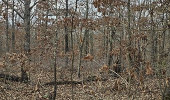 65 Acres Plainview Rd, Anderson, MO 64831