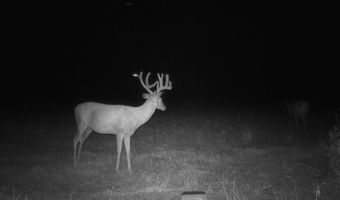 607 Hwy 69, Arma, KS 66712
