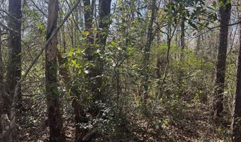 Little Prong Road NW lot 2 & 3, Ash, NC 28420