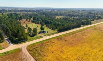17994 Michael Ave, Viking, MN 55033