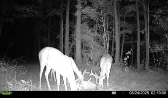 0 Champion Hill Rd, Bolton, MS 39041
