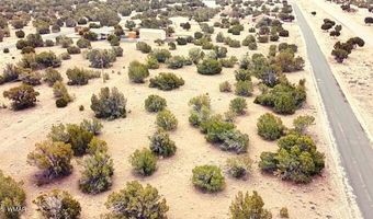 70 County Road 5054, Concho, AZ 85924