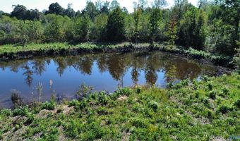15414 Quinn Rd, Athens, AL 35611