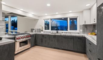 75 Bennett Ct, Aspen, CO 81611