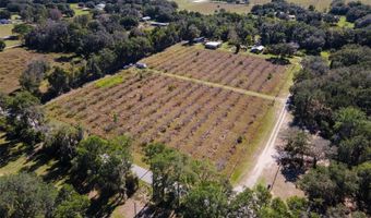 18250 RAVENSWOOD Rd, Altoona, FL 32702