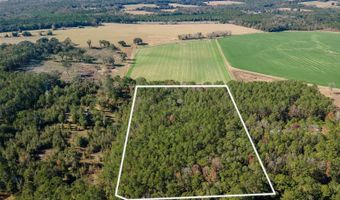 Tbd N COUNTY RD 1491, Alachua, FL 32615