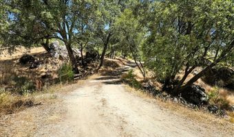 46467 Bissett Station Rd, Ahwahnee, CA 93601