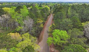 Harrisville Braxton Road, Braxton, MS 39044