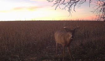 00000 CR 140, Alexander, KS 67513