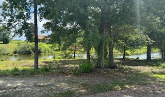 245 County Road 422, Abbeville, AL 36310