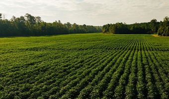 1037 Cr 300, Big Creek, MS 38914