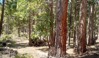 33907 Red Deer Ln, Bonanza, OR 97623