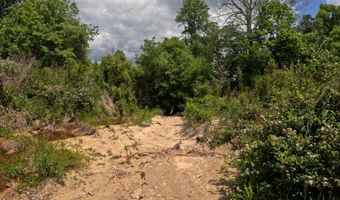 Christian Hts Road, Braxton, MS 39044