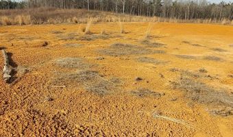85 6+/- Acres County Road 2291, Booneville, MS 38829