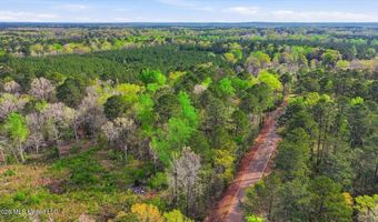 Harrisville Braxton Road, Braxton, MS 39044