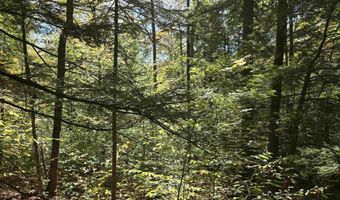 00 Thorn Hill Rd 54-L0E, Bartlett, NH 03812
