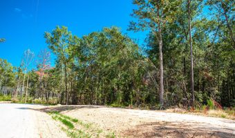 555 Rabbit Pen Dr, Appling, GA 30802