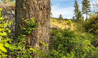 150 Trading Post Trl, Bigfork, MT 59911