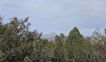 245 Antelope Run Rd, Ash Fork, AZ 86320