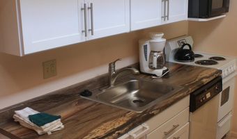 232 W Hyman Avenue Unit # 4 Wks 10 20 And # 8 Wk 43 #4 (Wks 10,20) And #8 (Wk 43), Aspen, CO 81611