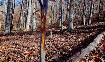 0 State Route 550, Amesville, OH 45711