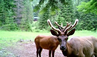1728 Dry Creek Rd, Clark Fork, ID 83811