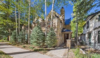 914 E Cooper Ave, Aspen, CO 81611