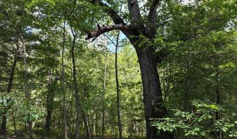 Highway 112, Abbeville, GA 31001